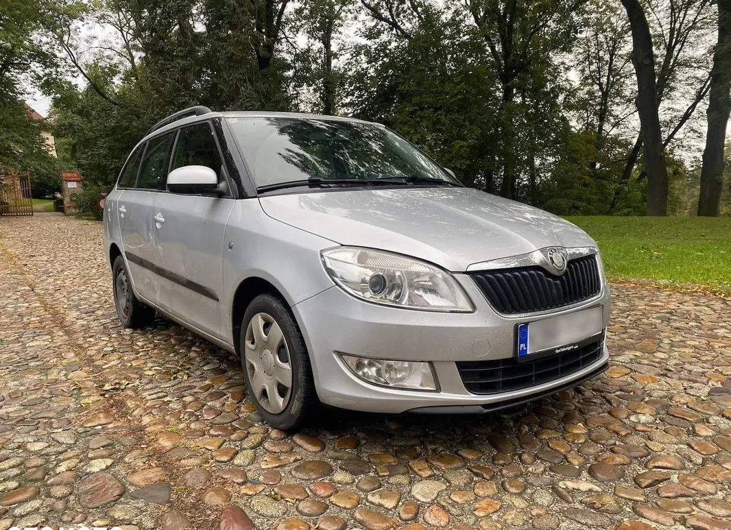 skoda biała Skoda Fabia cena 11000 przebieg: 203000, rok produkcji 2011 z Biała